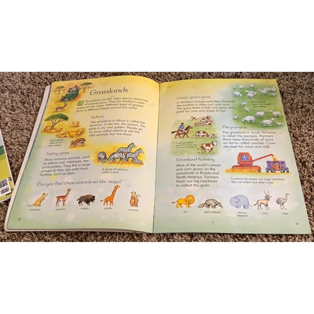 Usborne Geography Books (2)